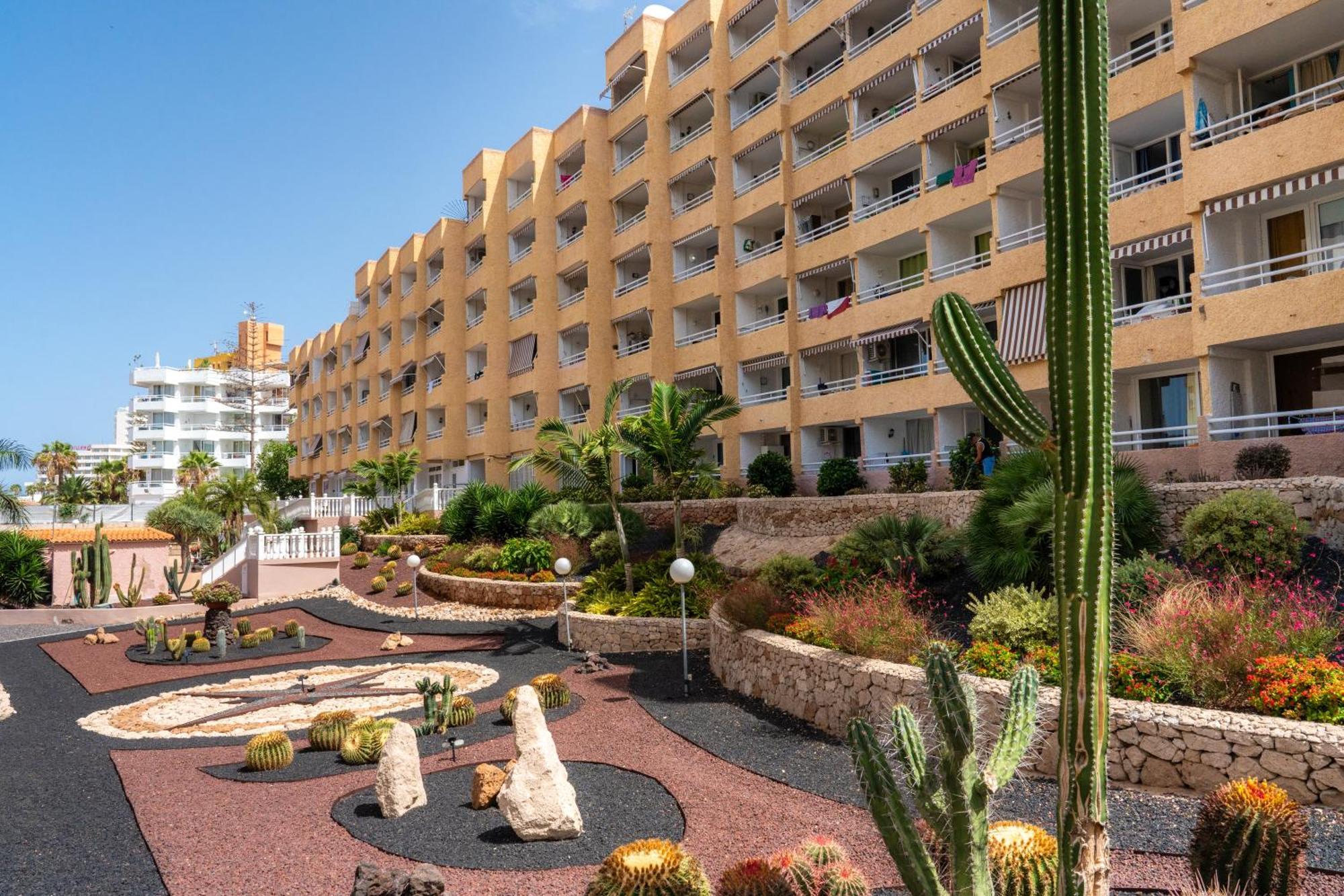 Apartamentos Borinquen ปลายาเดลาสอเมริกาส ภายนอก รูปภาพ