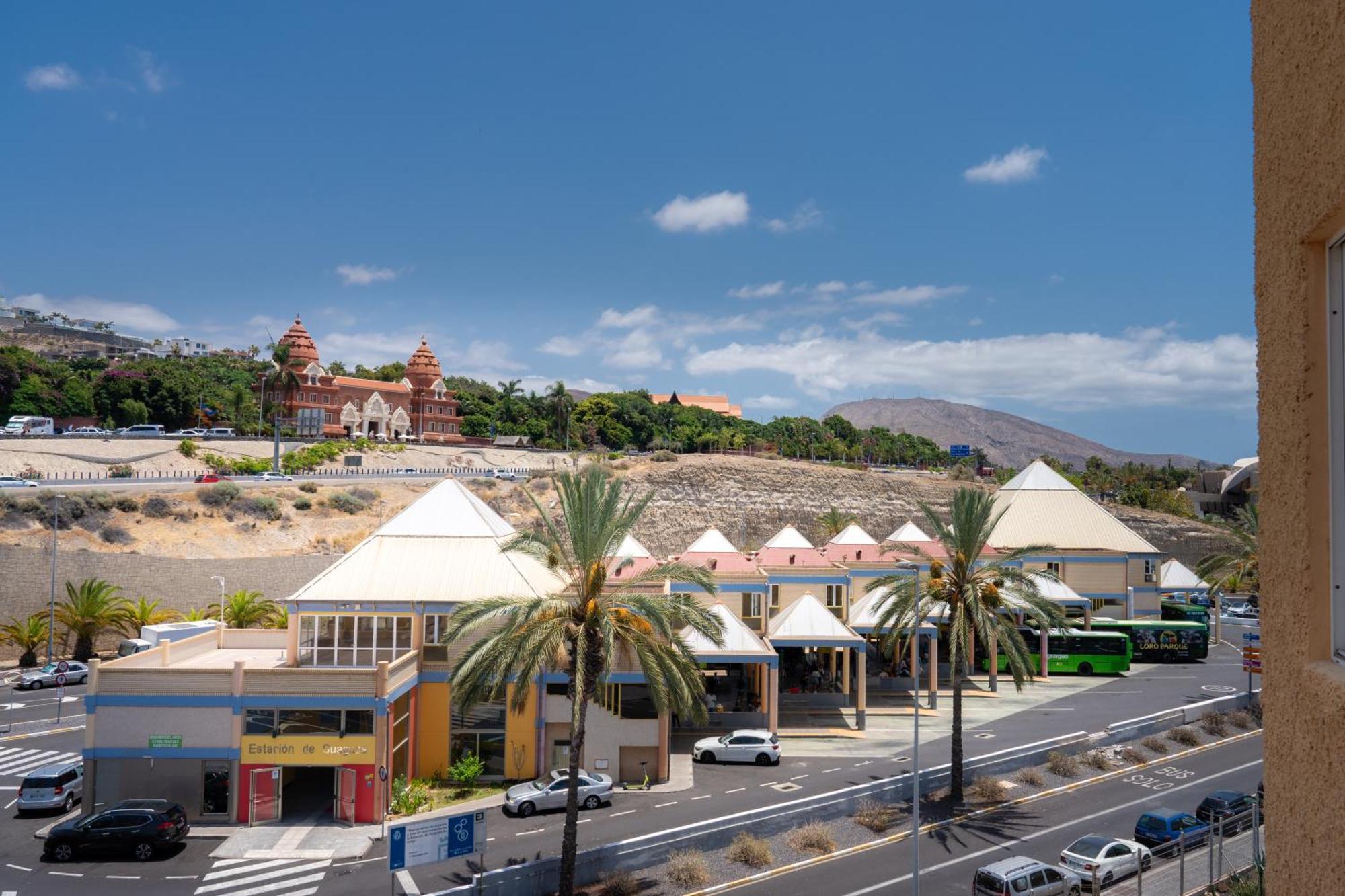 Apartamentos Borinquen ปลายาเดลาสอเมริกาส ภายนอก รูปภาพ