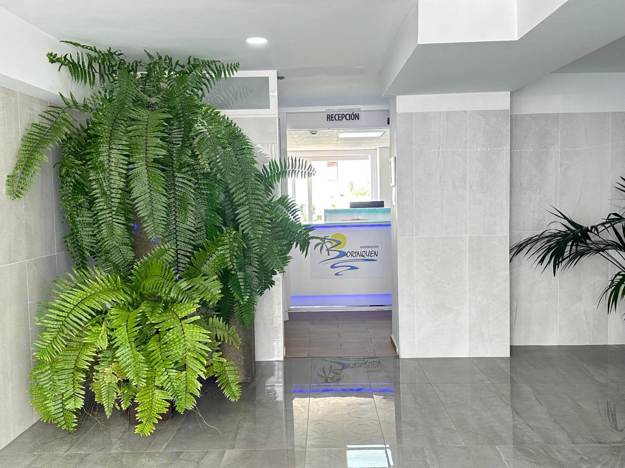 Apartamentos Borinquen ปลายาเดลาสอเมริกาส ภายนอก รูปภาพ